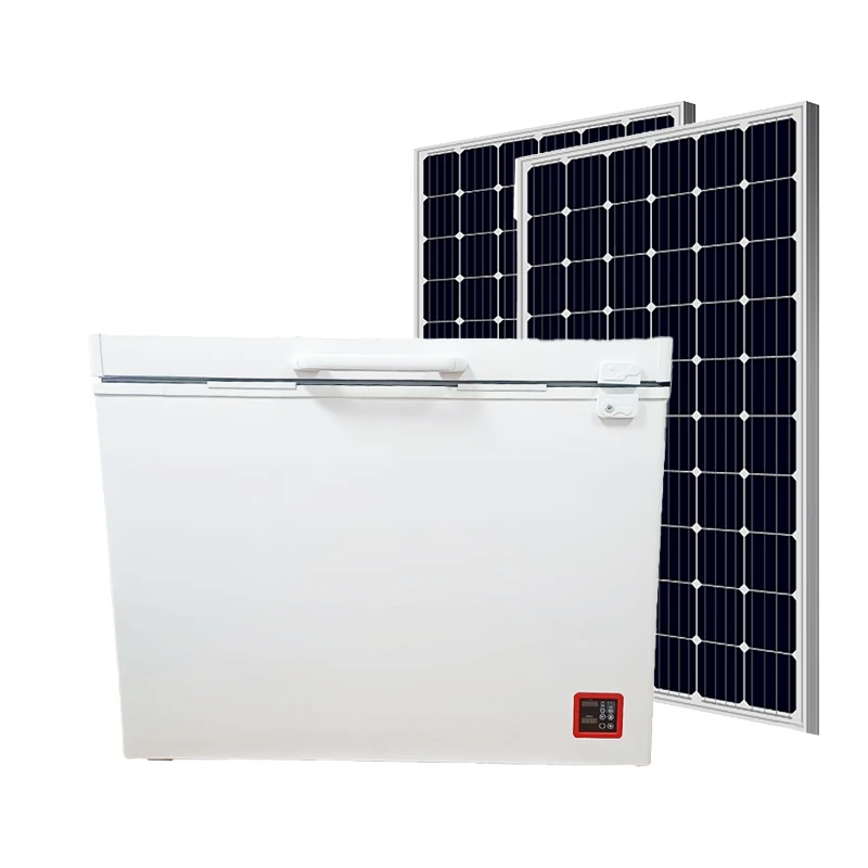 Super Energy Save 110mm Foaming Thickness Normal 10v~50vdcsolar Deep Freezer Single Door BD/BC-208H